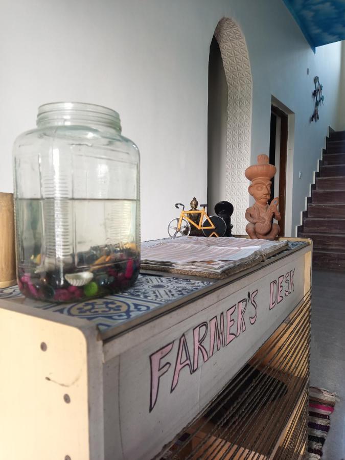 Sun N Soil Backpacker Hostel Bed & Breakfast